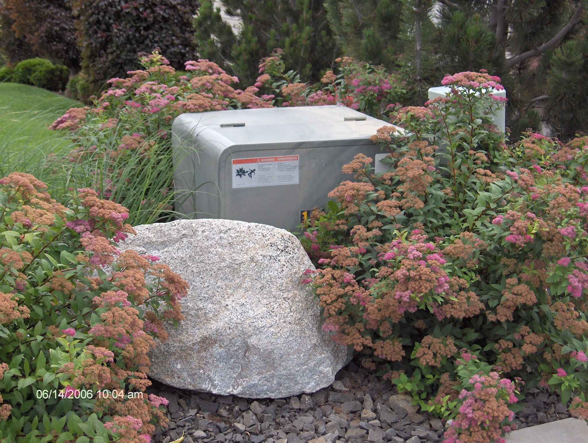 Bad example - Pat Mount Transformer is not accessible to utility workers because it is hidden by large rocks and plants