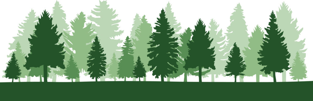 An illustration of a tree windbreak with evergreens in different shades of green