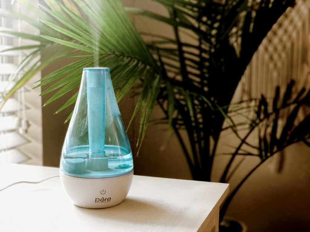 A blue humidifier vents steam out the top. It is resting on a white table with a tropical house plant behind it. Photo by Abby Berry, NRECA