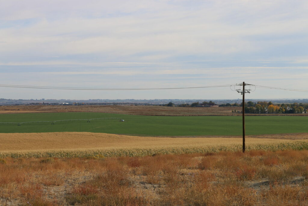 Dams provide irrigation water and electricity to run irrigation pumps north of West Richland, Washington. Photo of irrigated corn and alfalfa fields near a Benton REA distribution power line north of West Richland.