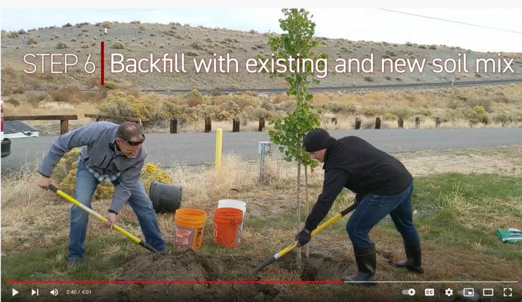Image of a scene from Benton REA's YouTube video "How to Plant A Tree"